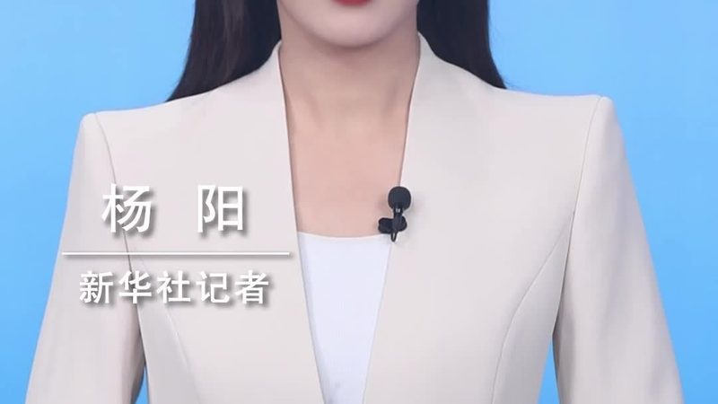 数据湖安全策略：构建企业数据安全的坚实架构