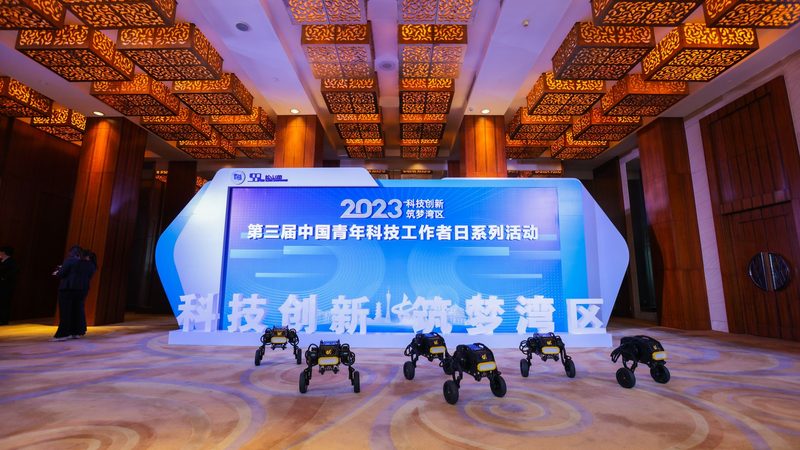 网络安全风险评估：如何选择专业公司**